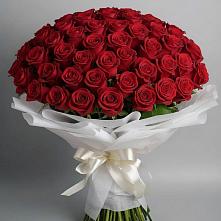 Букет 101 Красная роза Блэк Мэджик в Стодеревской