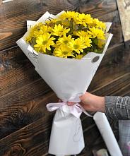 Букет цветов из:  Хризантемы #REPLACE_PRED# Стодеревской