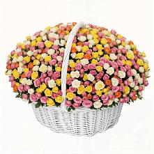 Премиум букет из: Розы #REPLACE_PRED# Стодеревской