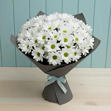 Букет цветов из:  Хризантемы #REPLACE_PRED# Стодеревской