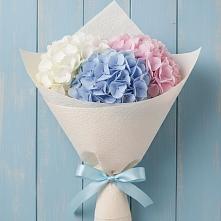 Букет цветов из:  Гортензия #REPLACE_PRED# Стодеревской