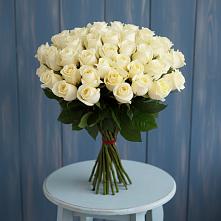 Букет 51 Белая роза Эдлесс Лав #REPLACE_PRED# Стодеревской