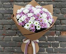 Букет цветов из:  Хризантемы в Стодеревской