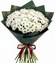 Букет цветов из:  Хризантемы #REPLACE_PRED# Стодеревской