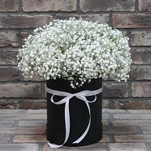 Цветочная композиция из Гипсофила в шляпной коробке #REPLACE_PRED# Стодеревской