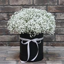 Цветочная композиция из Гипсофила в шляпной коробке в Стодеревской