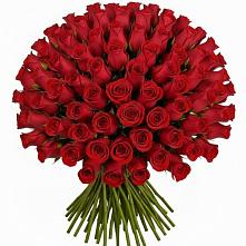 Букет Красные розы Чери Лав в Стодеревской