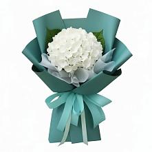 Букет цветов из:  Гортензия в Стодеревской